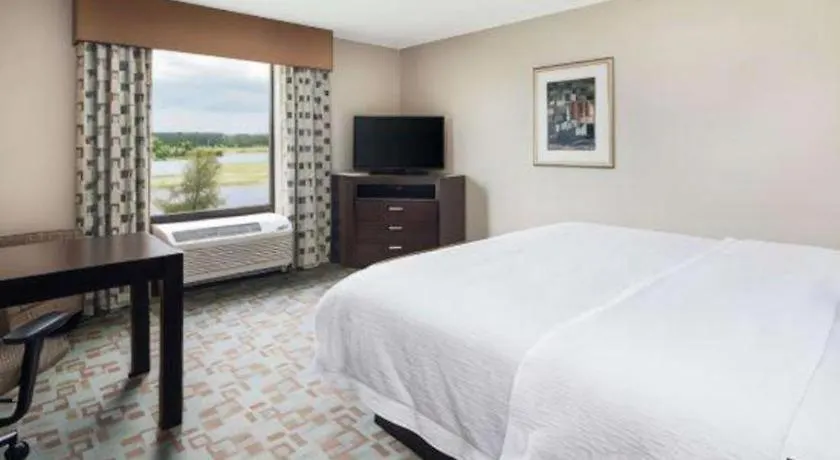 Hampton Inn & Suites Savannah-Airport Hotel Savannah